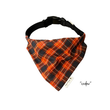 Load image into Gallery viewer, Dog Bandana: &quot;cedar&quot; (Tie on &amp; Over the Collar)
