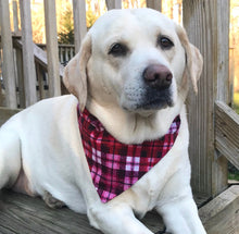 Load image into Gallery viewer, Dog Bandana: &quot;Juliet&quot;
