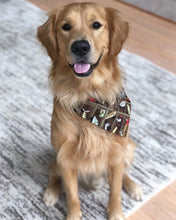 Load image into Gallery viewer, Dog Bandana: &quot;Bite Me”
