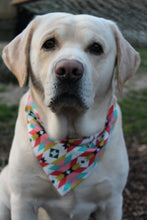 Load image into Gallery viewer, Dog Bandana: &quot;Welcome To Our Tribe&quot;
