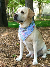 Load image into Gallery viewer, Dog Bandana: &quot;VA&quot; (Tie on &amp; Over the Collar)
