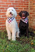 Load image into Gallery viewer, Dog Bandana: &quot;Buffalo&quot; (Tie on &amp; Over the Collar)
