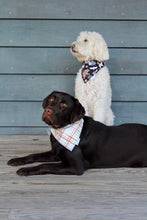 Load image into Gallery viewer, Dog Bandana: &quot;Dakota&quot; (Tie on &amp; Over the Collar)

