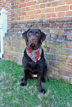 Load image into Gallery viewer, Dog Bandana: &quot;Scarlet&quot; (Tie on &amp; Over the Collar)
