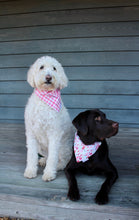 Load image into Gallery viewer, Dog Bandana: &quot;Ruth&quot; (Tie on &amp; Over the Collar)
