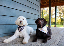 Load image into Gallery viewer, Dog Bandana: &quot;Dakota&quot; (Tie on &amp; Over the Collar)
