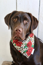 Load image into Gallery viewer, Dog Bandana: &quot;Scarlet&quot; (Tie on &amp; Over the Collar)
