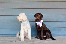 Load image into Gallery viewer, Dog Bandana: &quot;Haven&quot; (Tie on &amp; Over the Collar)
