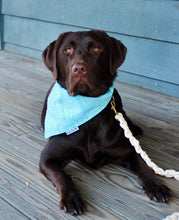 Load image into Gallery viewer, Dog Bandana: &quot;Jonah&quot; (Tie on &amp; Over the Collar)
