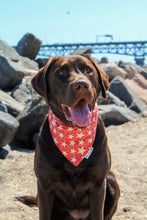 Load image into Gallery viewer, Dog Bandana: &quot;Dutton&quot; (Tie on &amp; Over the Collar)
