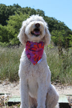 Load image into Gallery viewer, Dog Bandana: &quot;Serena&quot; (Tie on &amp; Over the Collar)
