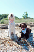 Load image into Gallery viewer, Dog Bandana: &quot;Seamaid&quot; (Tie on &amp; Over the Collar)
