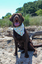 Load image into Gallery viewer, Dog Bandana: &quot;Just Beachy&quot;
