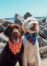 Load image into Gallery viewer, Dog Bandana: &quot;Dutton&quot; (Tie on &amp; Over the Collar)
