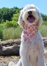 Load image into Gallery viewer, Dog Bandana: &quot;Shelly&quot;
