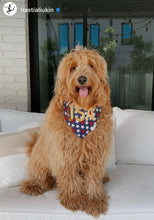 Load image into Gallery viewer, Dog Bandana: &quot;USA Patriotic&quot;
