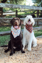 Load image into Gallery viewer, Dog Bandana: &quot;all too well&quot; (Tie on &amp; Over the Collar)
