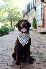 Load image into Gallery viewer, Dog Bandana: &quot;cornelia&quot; (Tie on &amp; Over the Collar)
