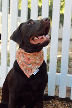 Load image into Gallery viewer, Dog Bandana: &quot;Mariposa&quot; (Tie on &amp; Over the Collar)
