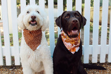 Load image into Gallery viewer, Dog Bandana: &quot;spotty&quot;
