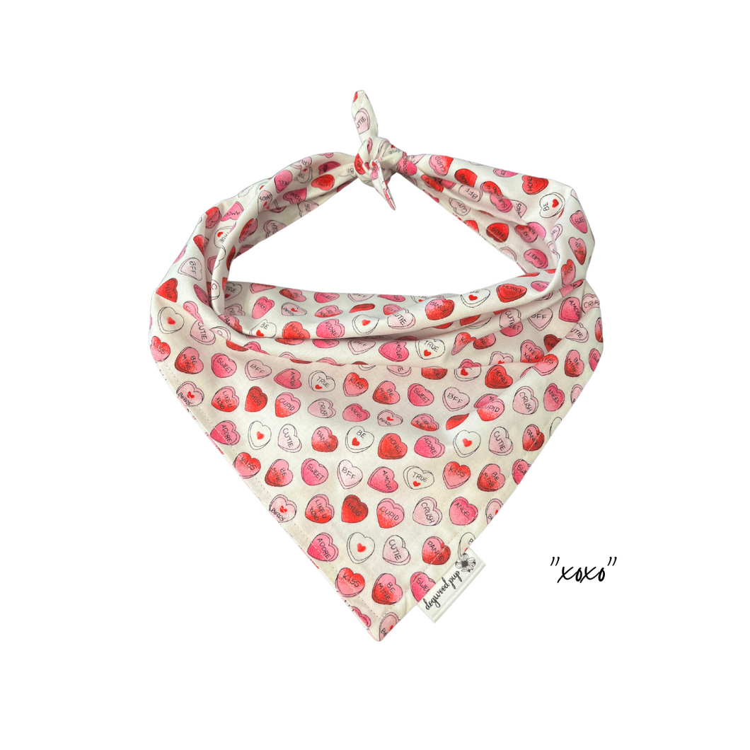 Dog Bandana: 